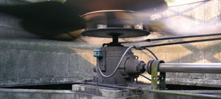 Gearbox Mounted to Motor